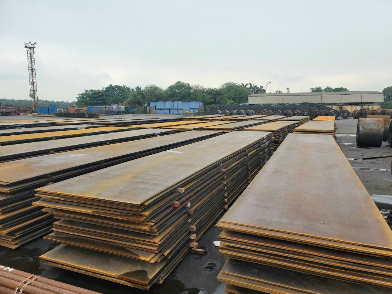 Cho thuê tôn tấm rải đường chống lầy tại tỉnh Hậu Giang